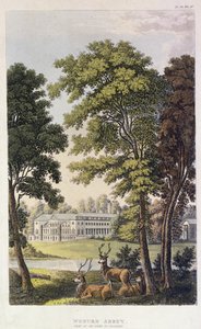 Woburn Abbey, fra Ackermanns 